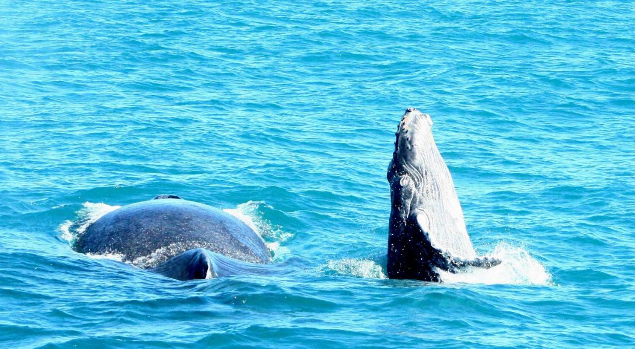 Pousada Areia Preta Cumuruxatiba Dış mekan fotoğraf